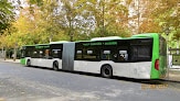 Transportes Urbanos De Vitoria