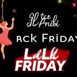 Ofertas de Black Friday en Mudanzas Mudanval